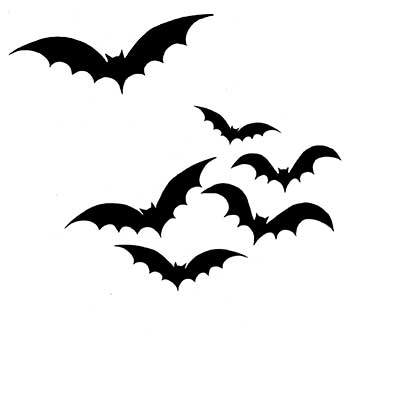 bats-web