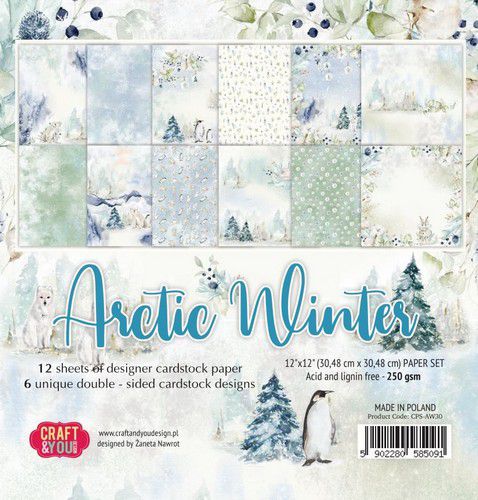 craft-you-arctic-winter-big-paper-set-12x12-12-bg-cps-aw30-10-21-322415-de-g