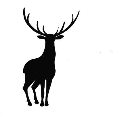 stag-large-2