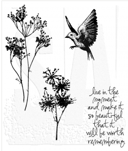 Tim Holtz Cling Mount Stamps: Nature's Moments