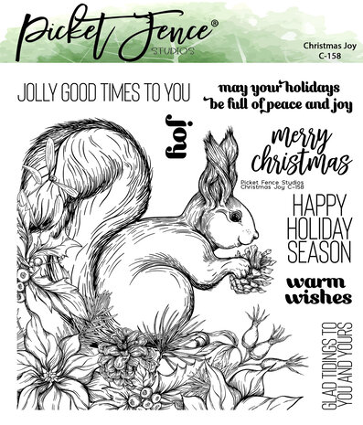 Picket Fence Studios - Christmas Joy 6x6 Inch Clear Stamps