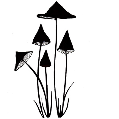 slender-mushrooms-copy