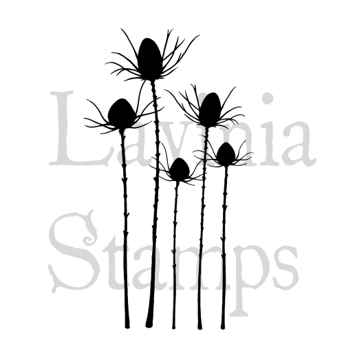 lav411-silhouette-thistles-500x500