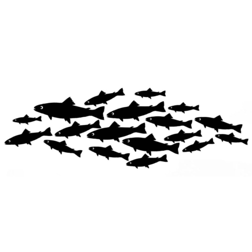 shoal-of-fish-1-500x500