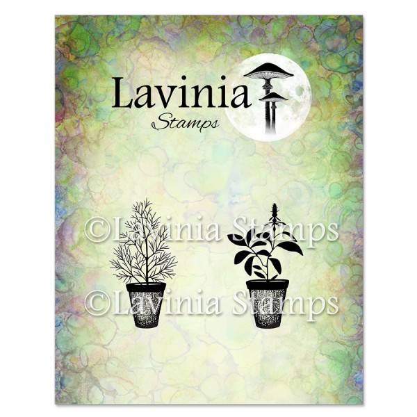 Lavinia Stamps -Dill & Sage Pots Stamp