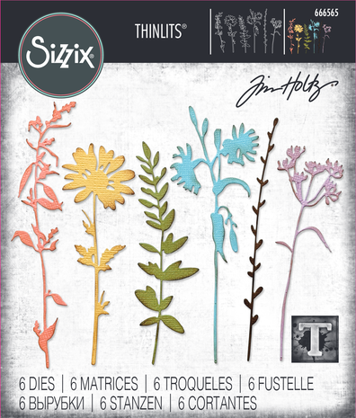 Sizzix - Thinlits Die by Tim Holtz Vault Wildflowers (6pcs)