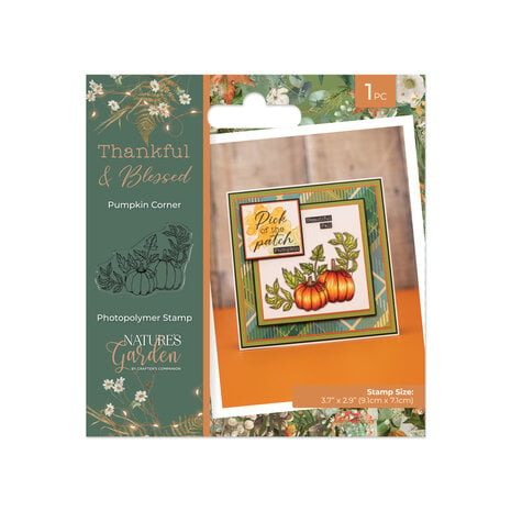 Crafters Companion - Thankful & Blessed Clear Stamp Pumpkin Corner