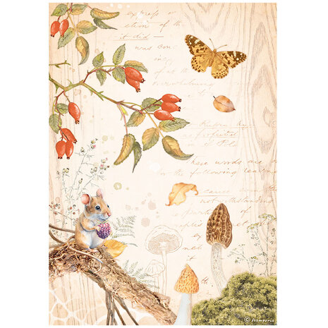 Stamperia - A4 Rice Paper Woodland Butterfly