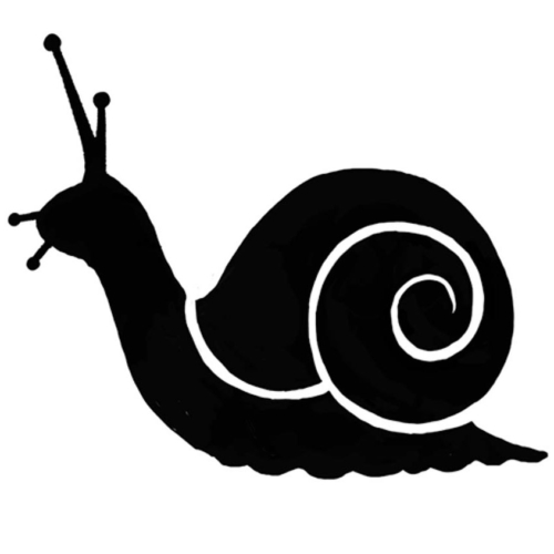 snail-500x500