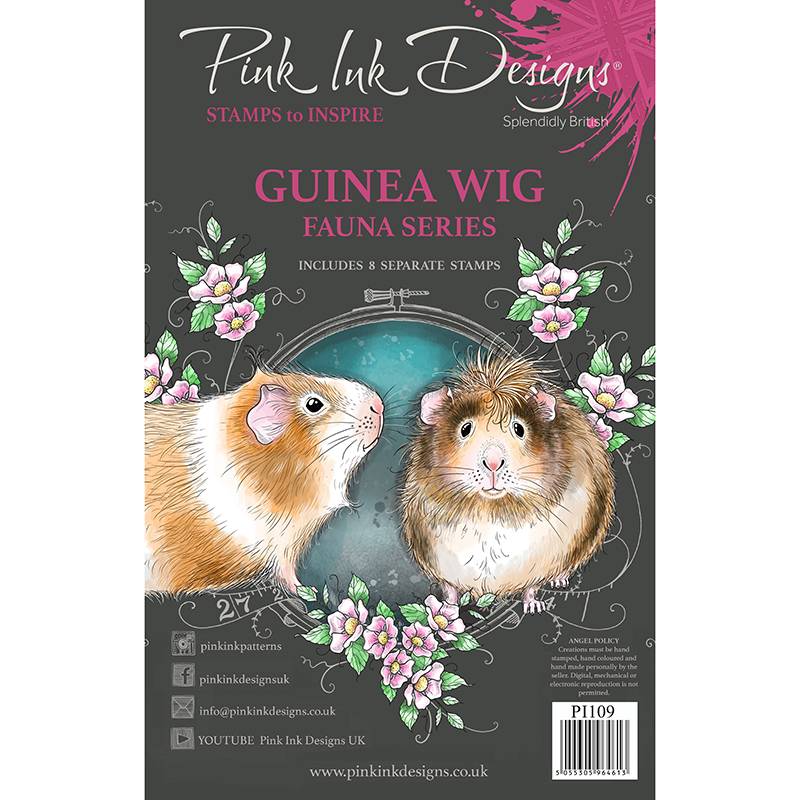 pi109-guinea-wig-packaging-1