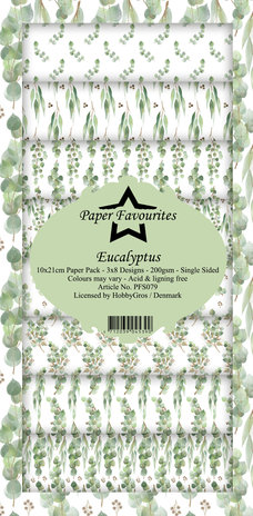 paper-favourites-eucalyptus-slim-paper-pack-pfs079