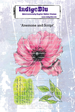 IndigoBlu - Anemone and Script A6 Rubber Stamps 