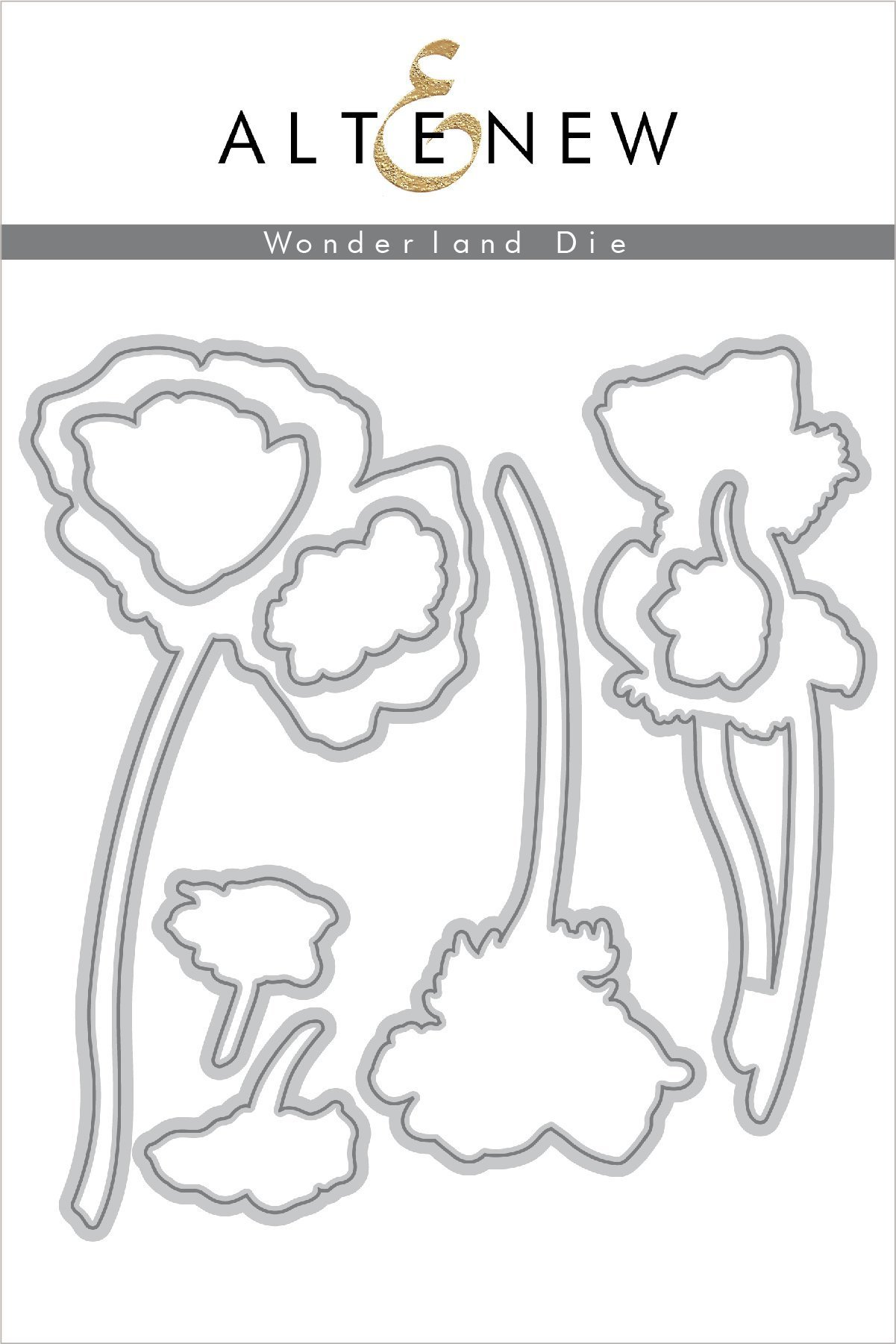 die_20with_20logo_wonderland_20die_20set_die_15494cee-24c1-4911-afda-26e22ee40232_2048x