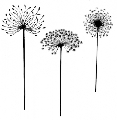 dandelions