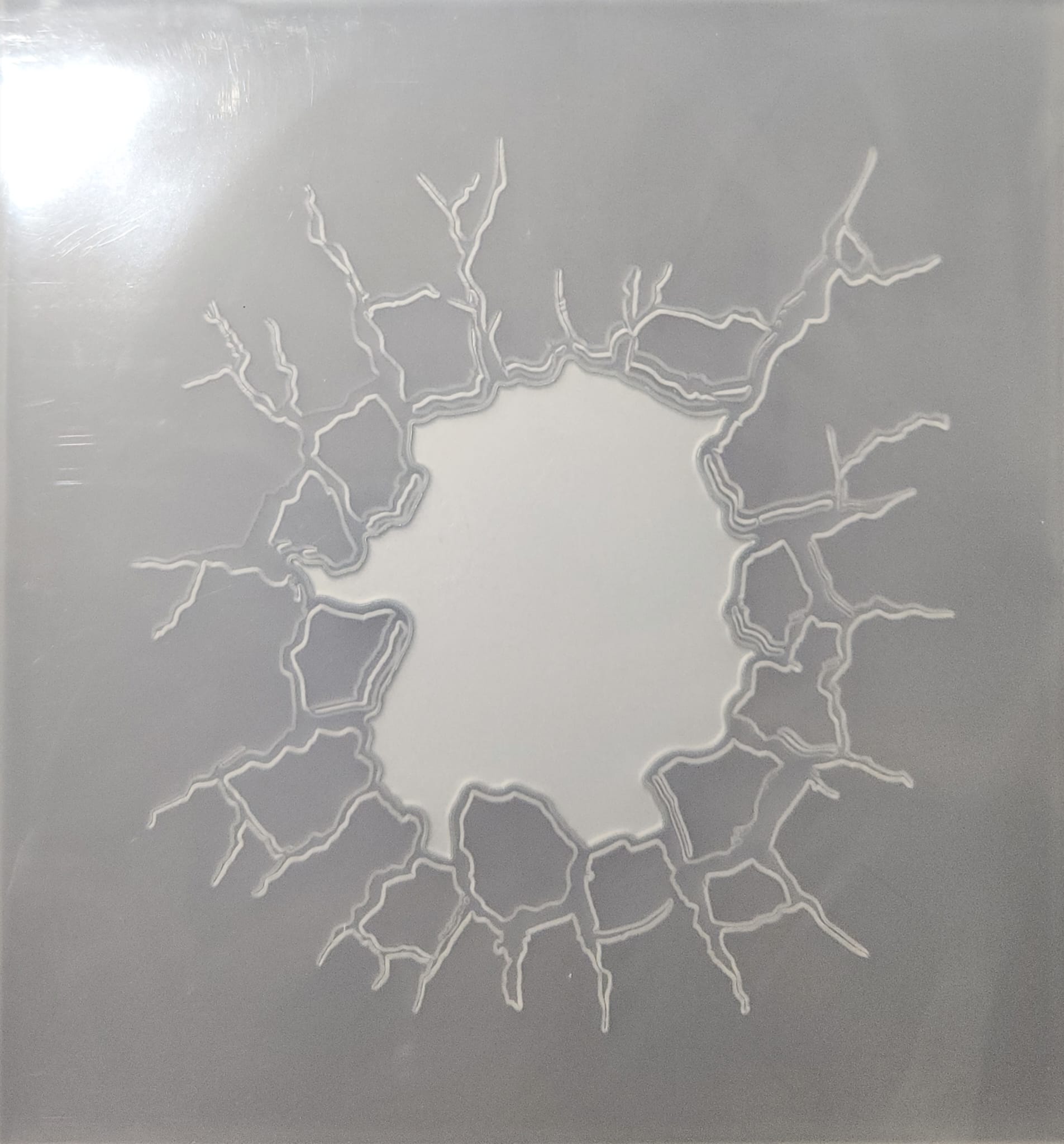 Funky Fossil - Cavernous Embossing Folder with DIE