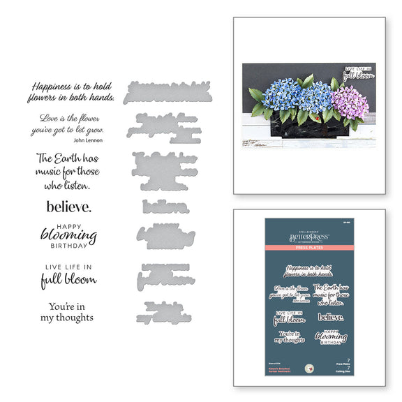 Spellbinders -BetterPress - Nature's Botanical Garden Sentiments Press Plate & Die Set