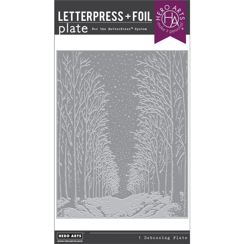 Hero Arts Letterpress & Foil Plate -  Snowy Night 