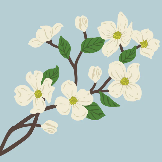 Honey Bee - Lovely Layers: Dogwood - Honey Cuts