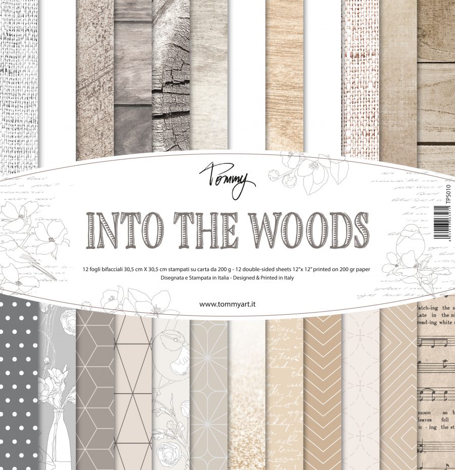 copertina-into-the-wood-def-900x929