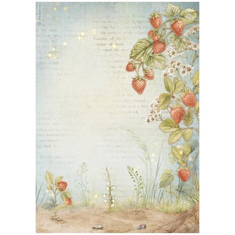 Stamperia - Hidden Grove A4 Rice Paper Strawberries