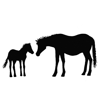 horse_and_foal