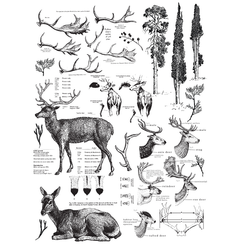 re-design-with-prima-deer-23x33-inch-decor-transfe