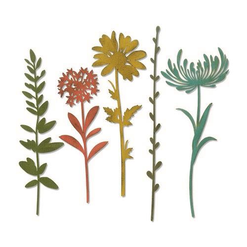 sizzix-thinlits-die-set-5pk-wildflower-stems-1-664163-tim-holtz-0119_49222_1_g