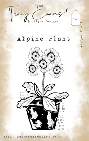 Tracy Evans - Alpine Plant A7 Stamp