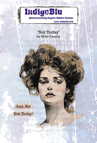 IndigoBlu - Not Today A6 Rubber Stamps 