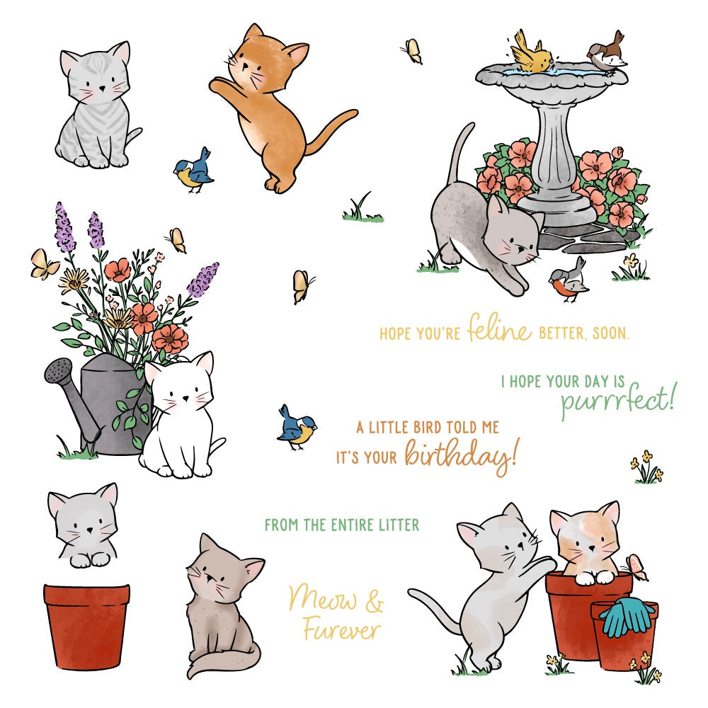 Honey Bee -   Meow & Furever - 6"x8" Clear Stamp Set 