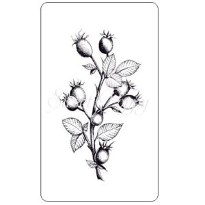 Sweet Poppy Stencil: Rose Hip Stamp