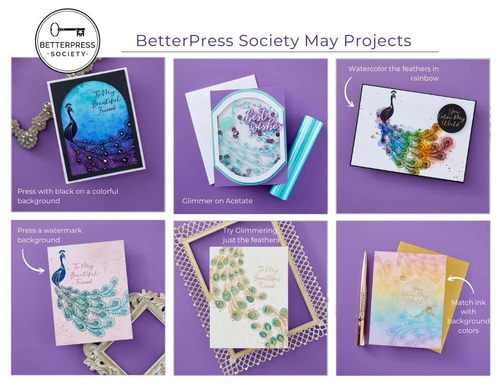 Spellbinders -BetterPress -  Peacock Press Plates - BetterPress Society May 2024