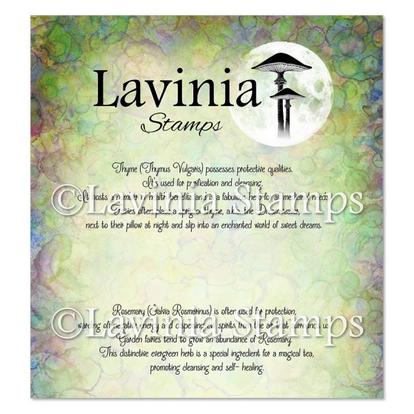 Lavinia Stamps -  Thyme & Rosemary Words Stamp