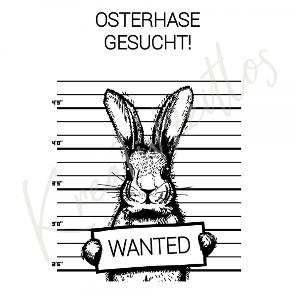 insta-osterhase-gesucht