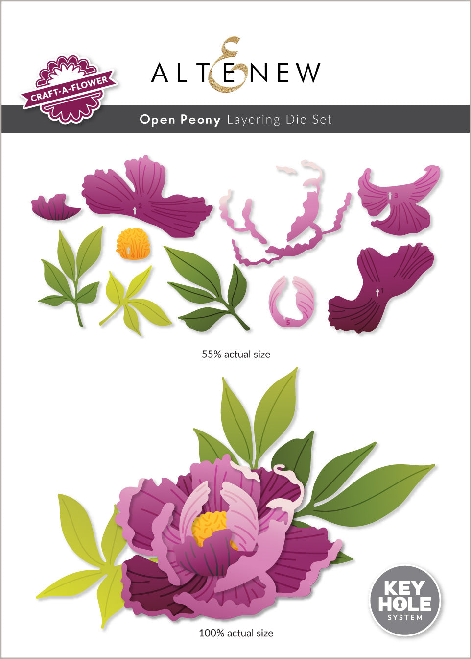 Altenew - Craft-A-Flower: Open Peony Layering Die Set 