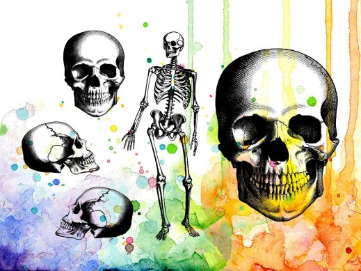 visible-image-mr-bone-jangles-skull-col-stamp-set-519x389